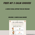 My 3 Calm Choices: FREE Visual Support for Big Feelings